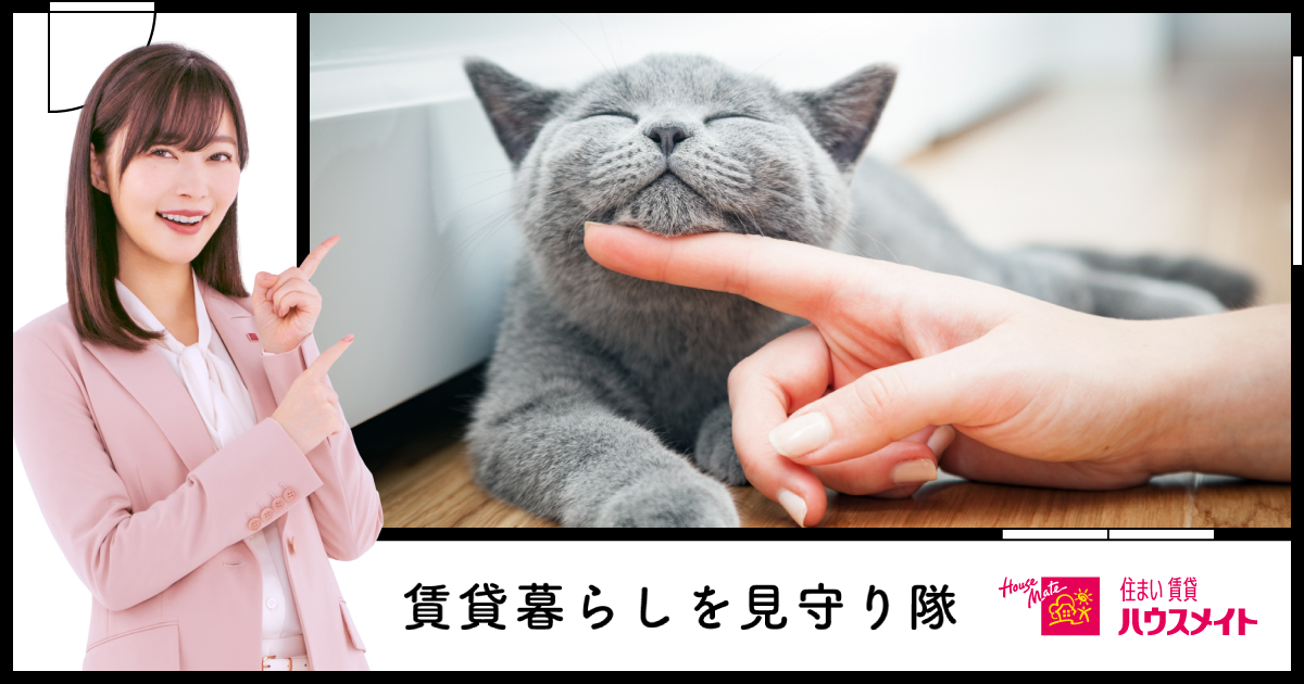 猫好きにはたまらない！ 猫とu201c共生u201dできる賃貸暮らしとは 