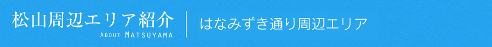 松山おすすめエリア紹介｜はなみずき通り周辺エリア